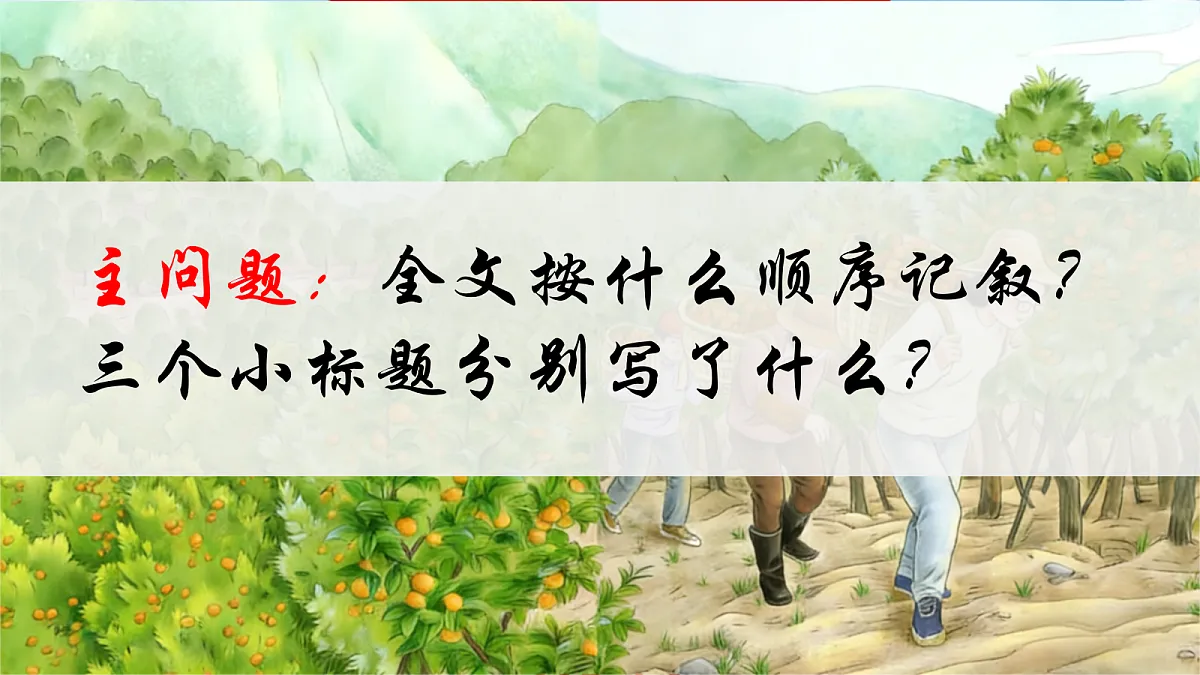18367384第5页