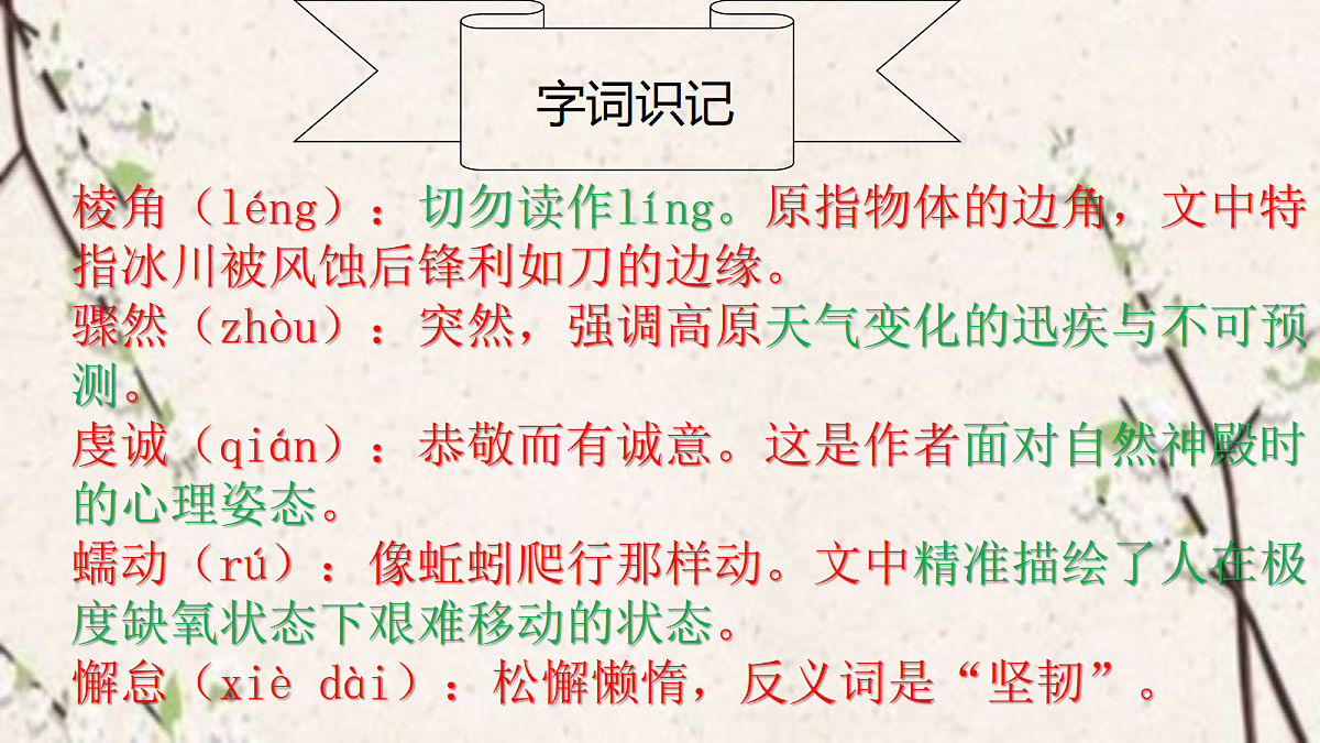 18367385第2页