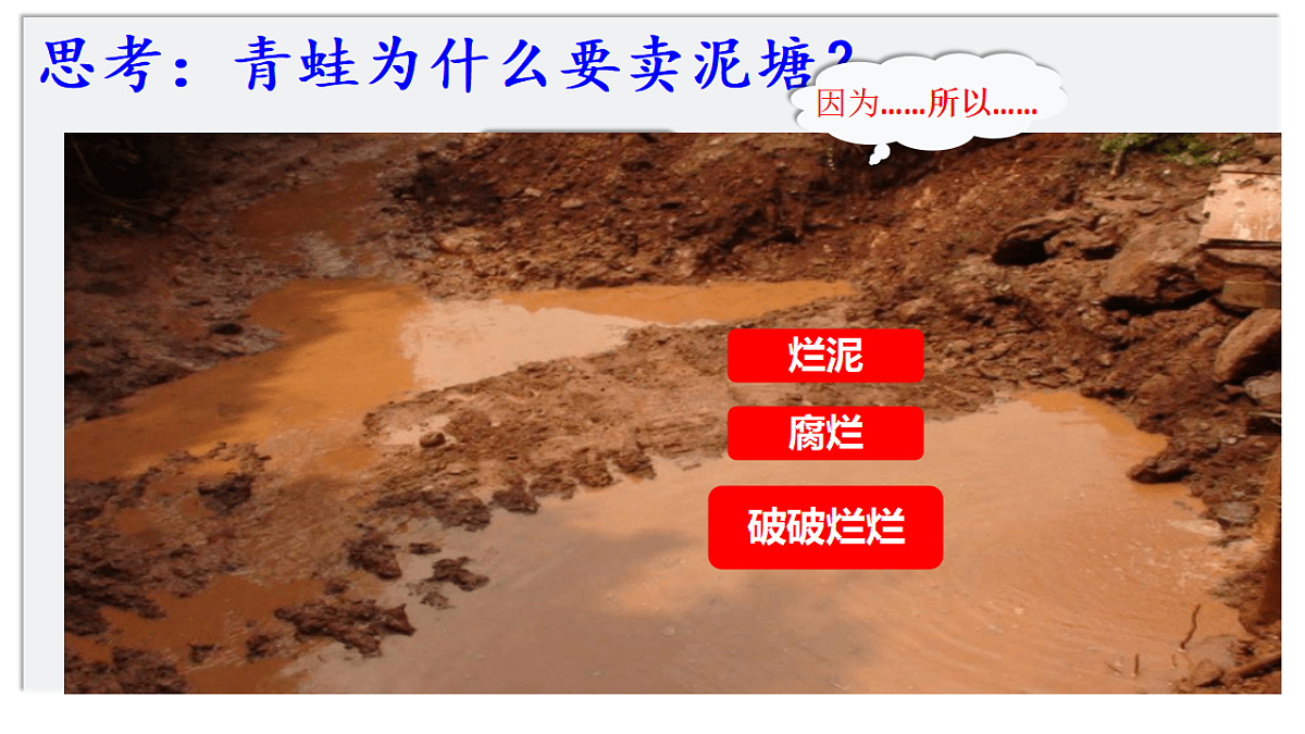 18368049第8页