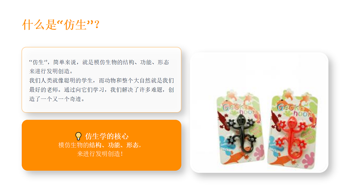 18368054第4页