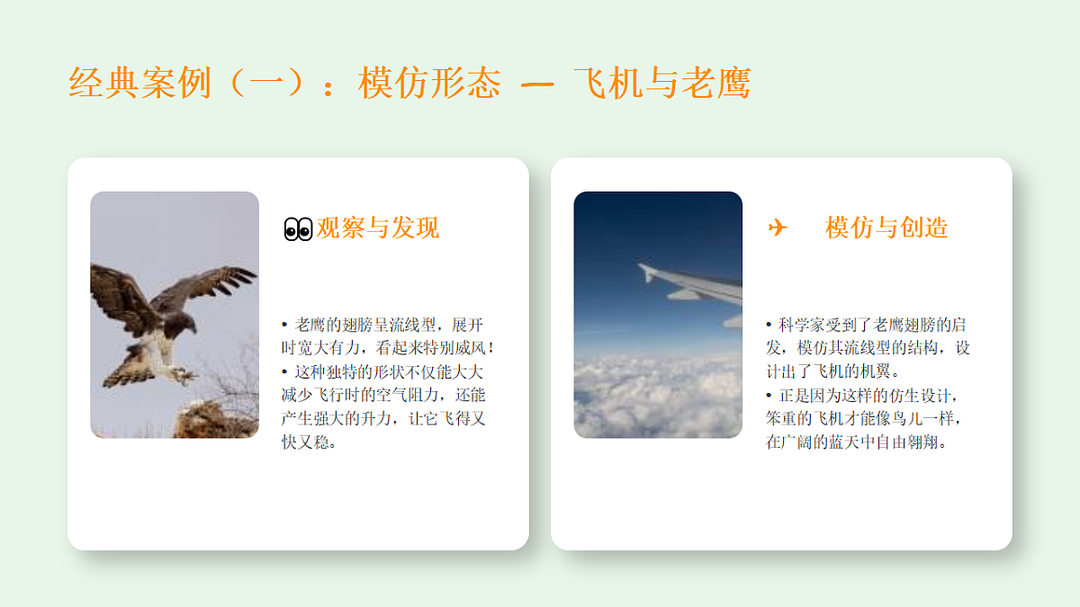 18368054第5页