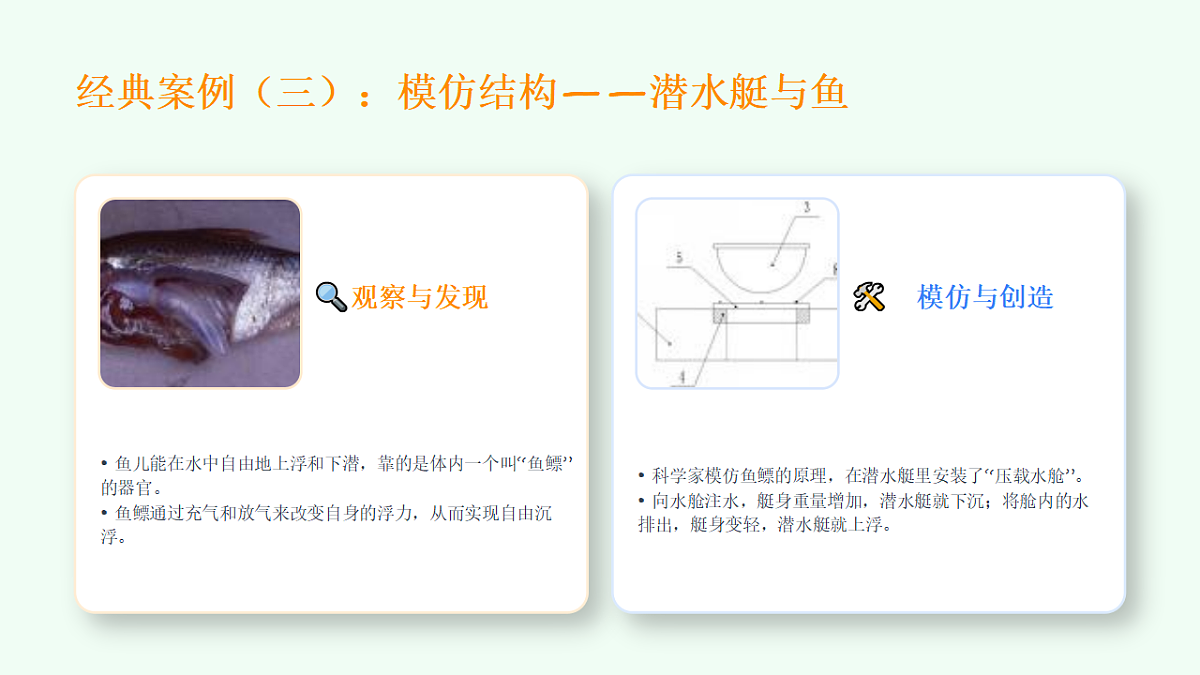 18368054第7页