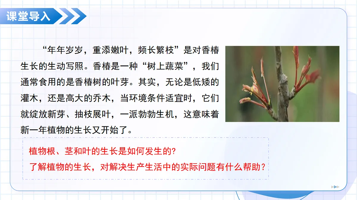 18368070第5页