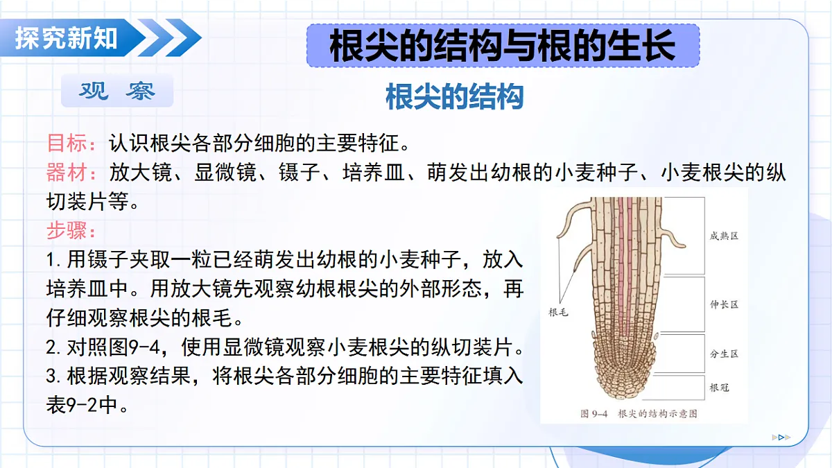 18368070第7页