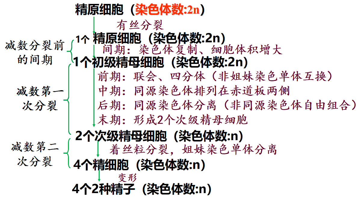 18368281第4页