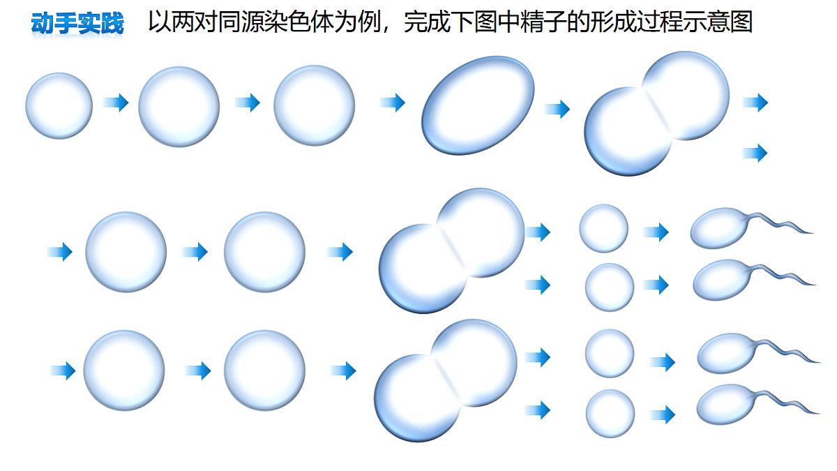 18368281第5页