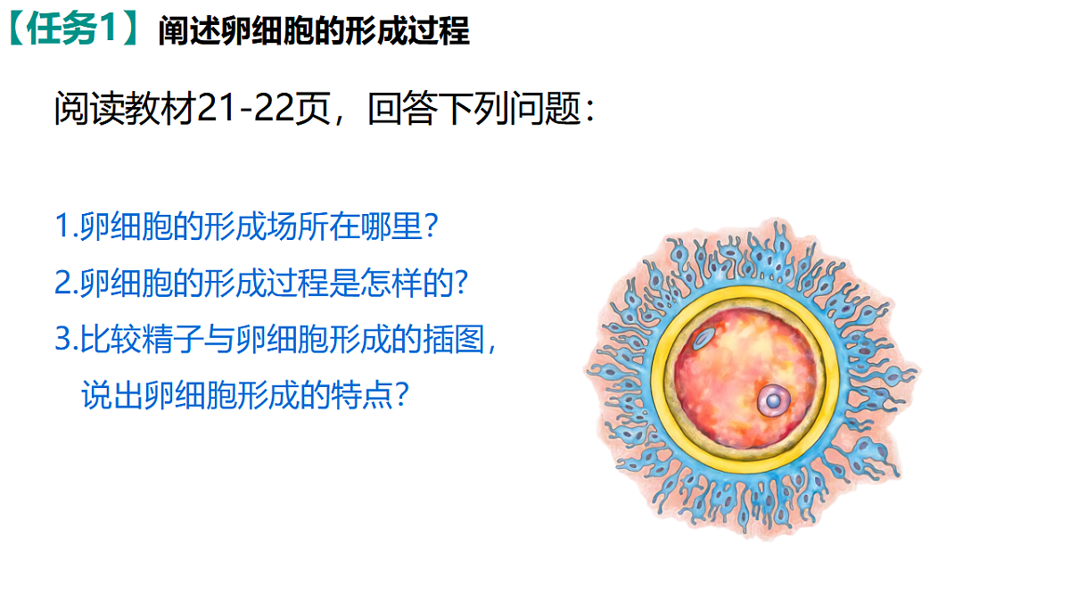 18368281第6页