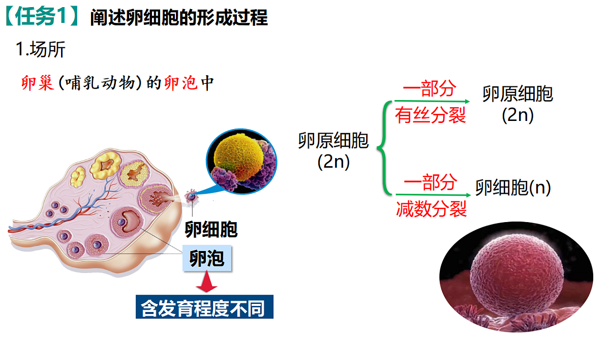 18368281第7页