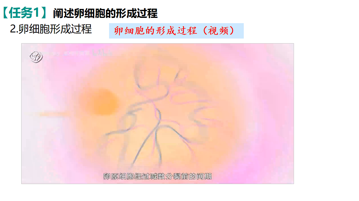 18368281第8页