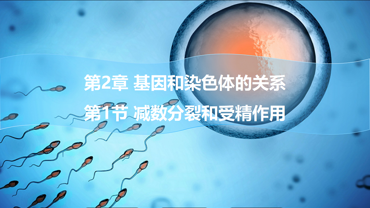 18368282第1页
