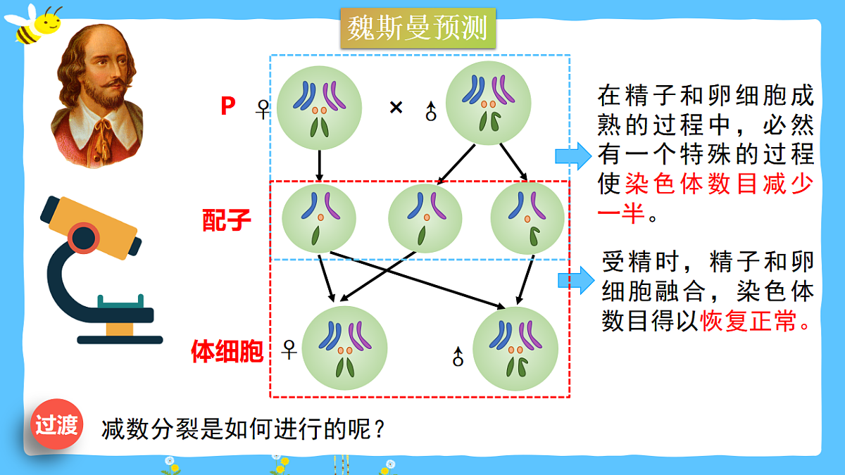 18368282第4页