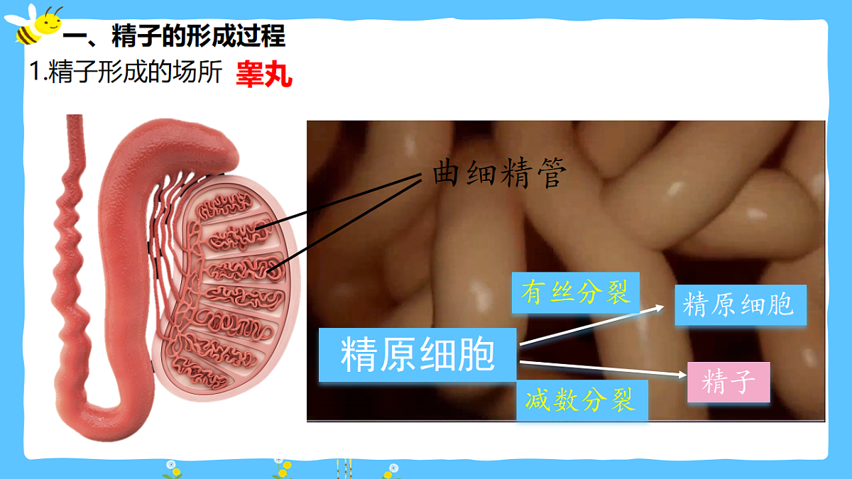18368282第6页