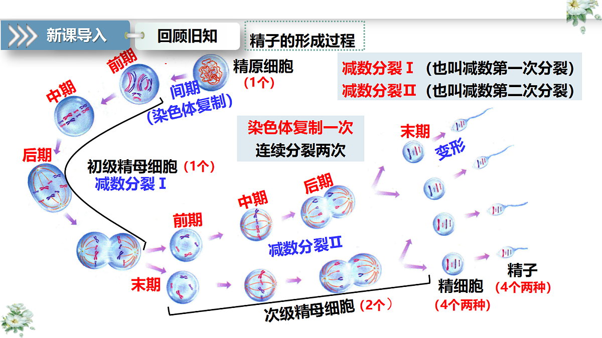 18368283第5页