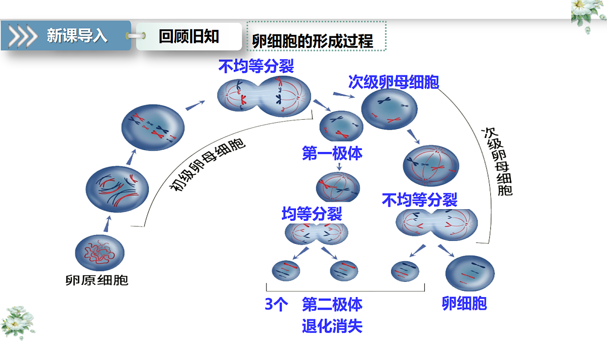 18368283第6页