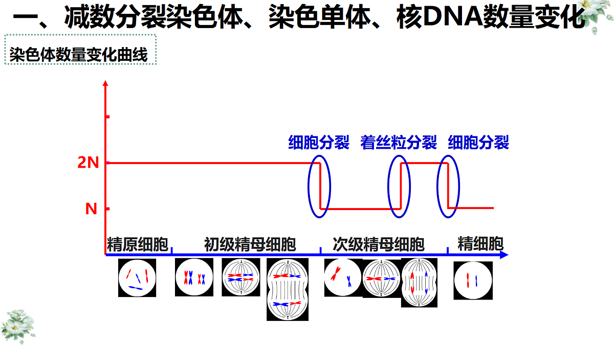 18368283第8页
