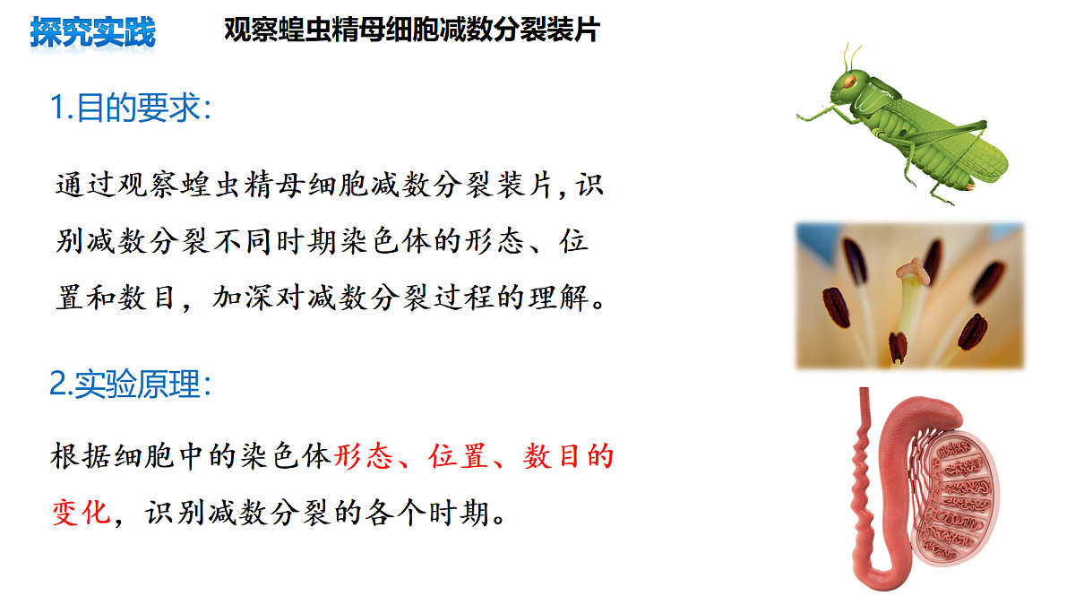 18368285第6页