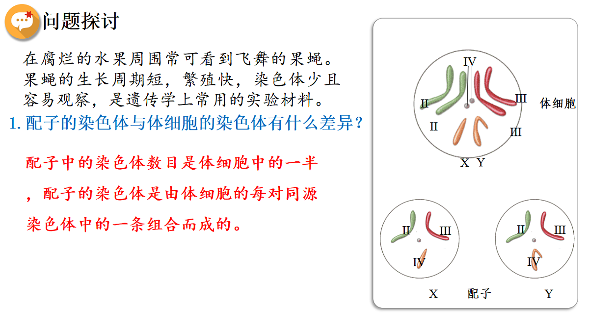 18368290第3页