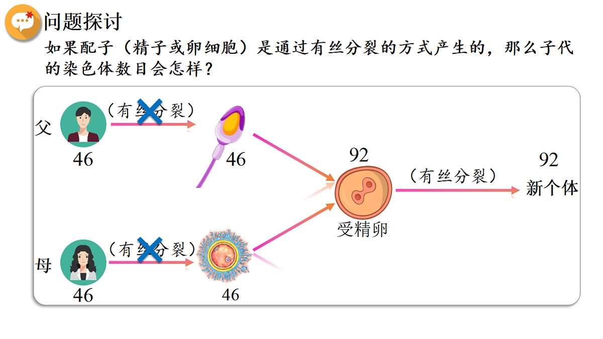 18368290第4页