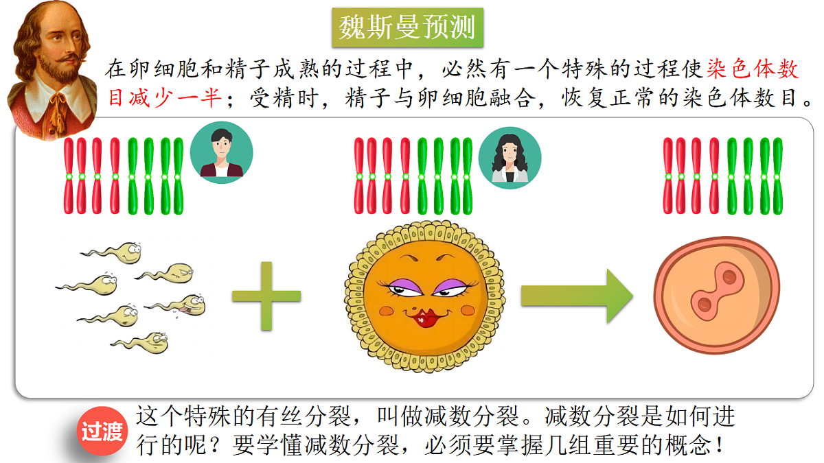 18368290第5页