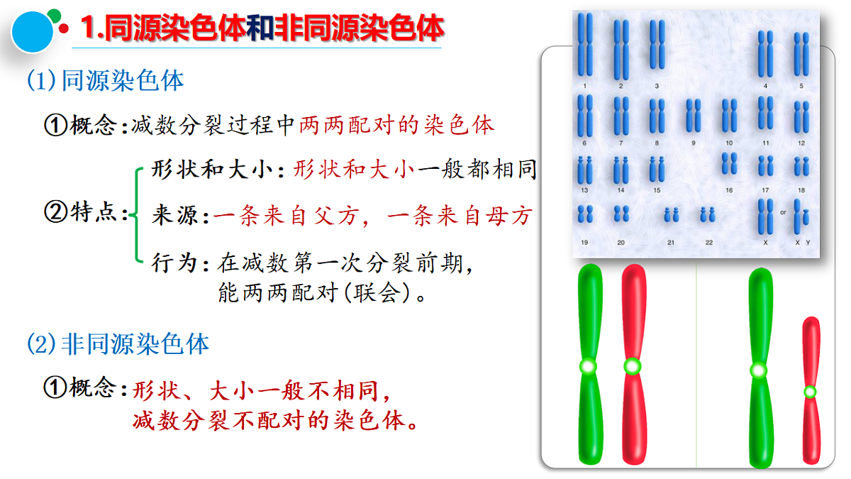 18368290第7页