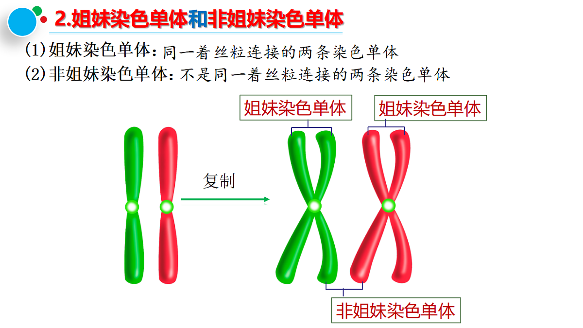 18368290第8页