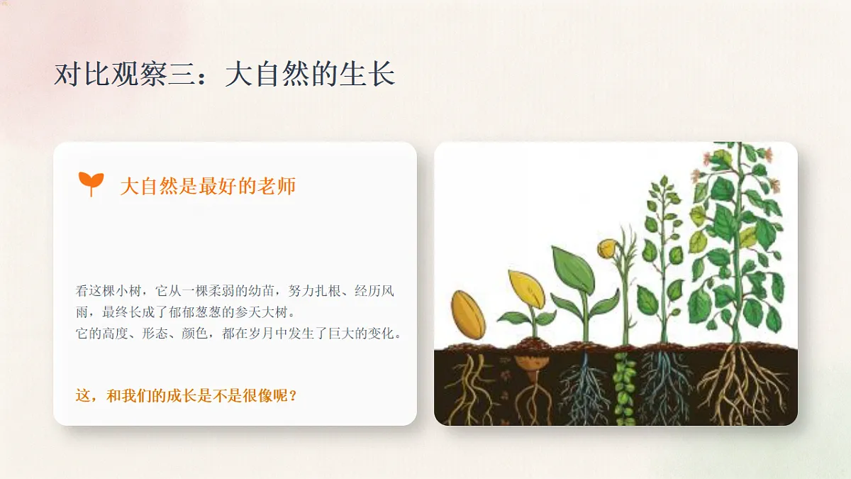 18369842第7页