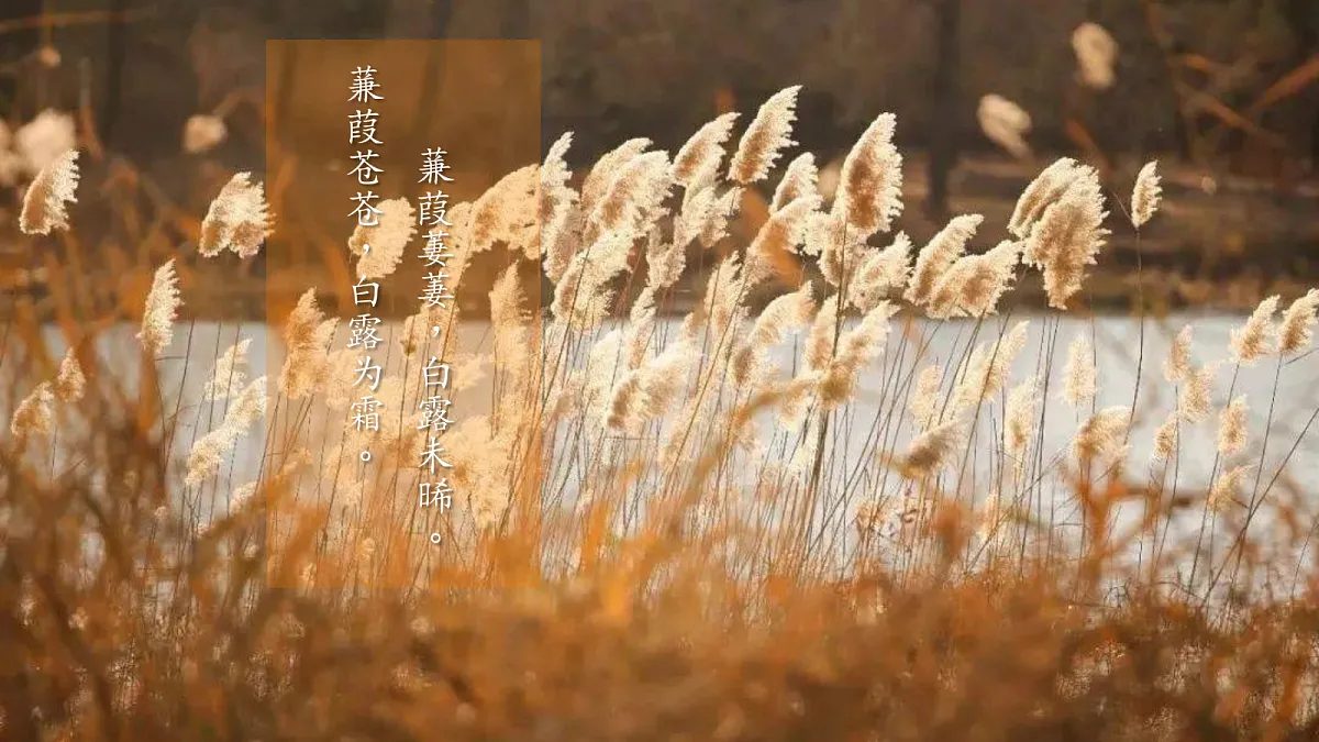 18370890第2页