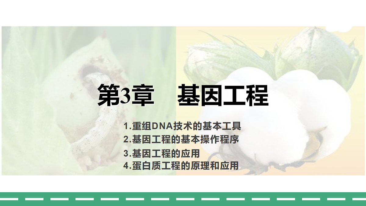 18371640第1页