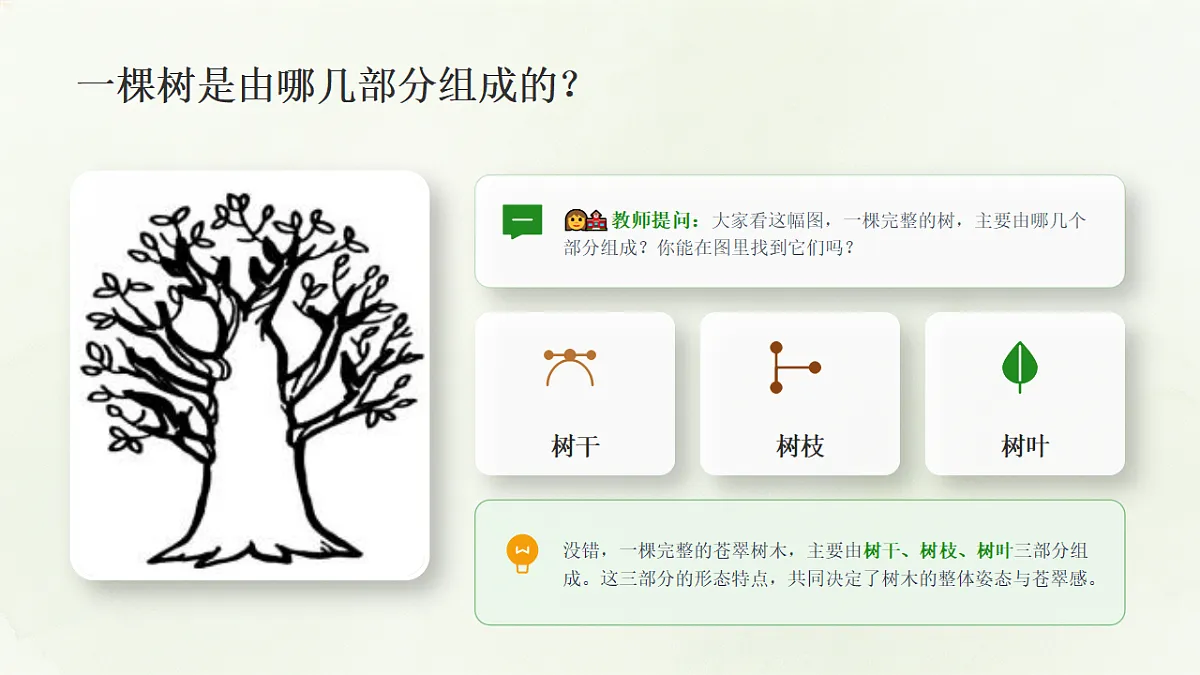 18372598第5页
