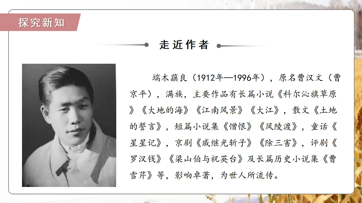 18374069第7页