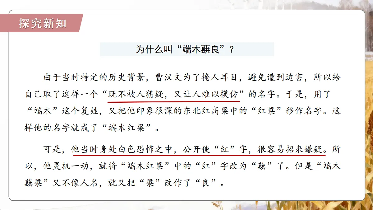 18374069第8页