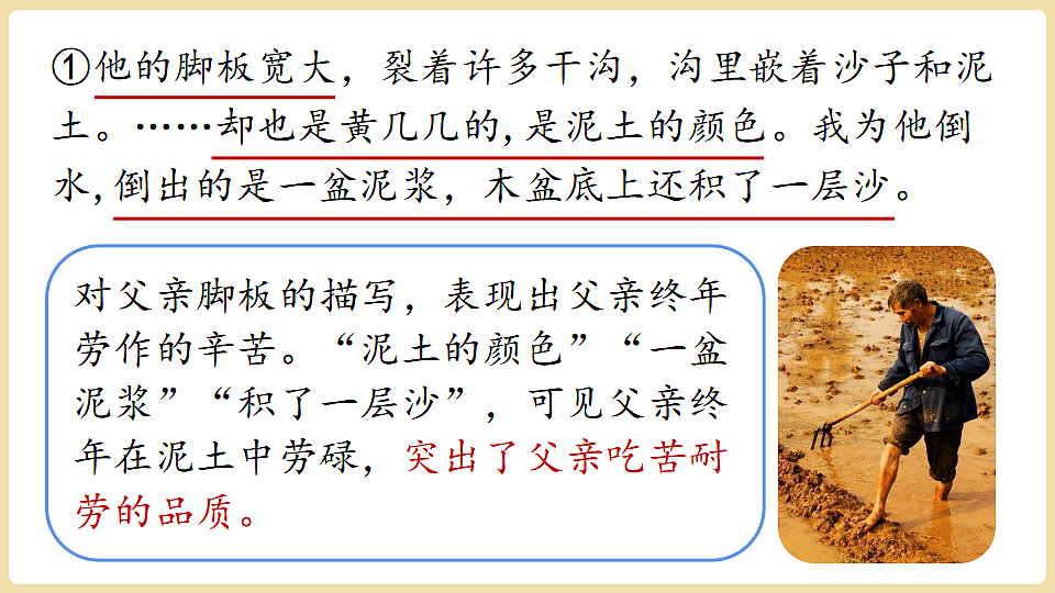 18374086第5页