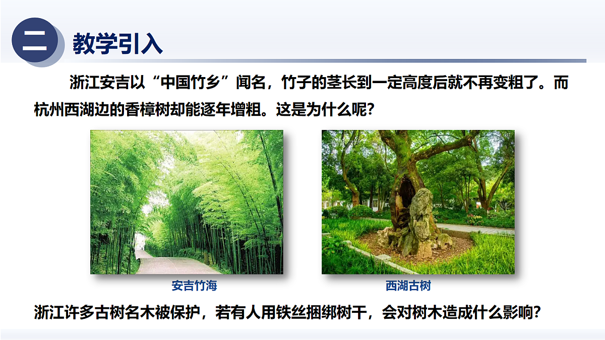 18375323第4页