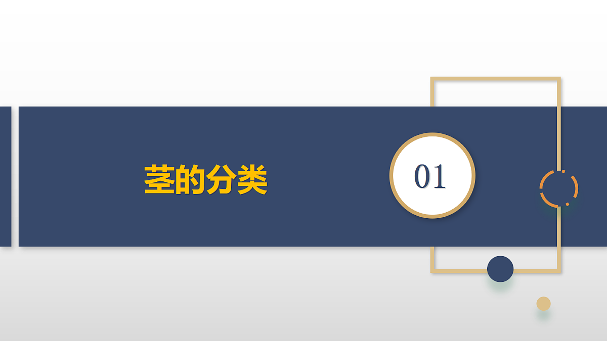 18375323第5页