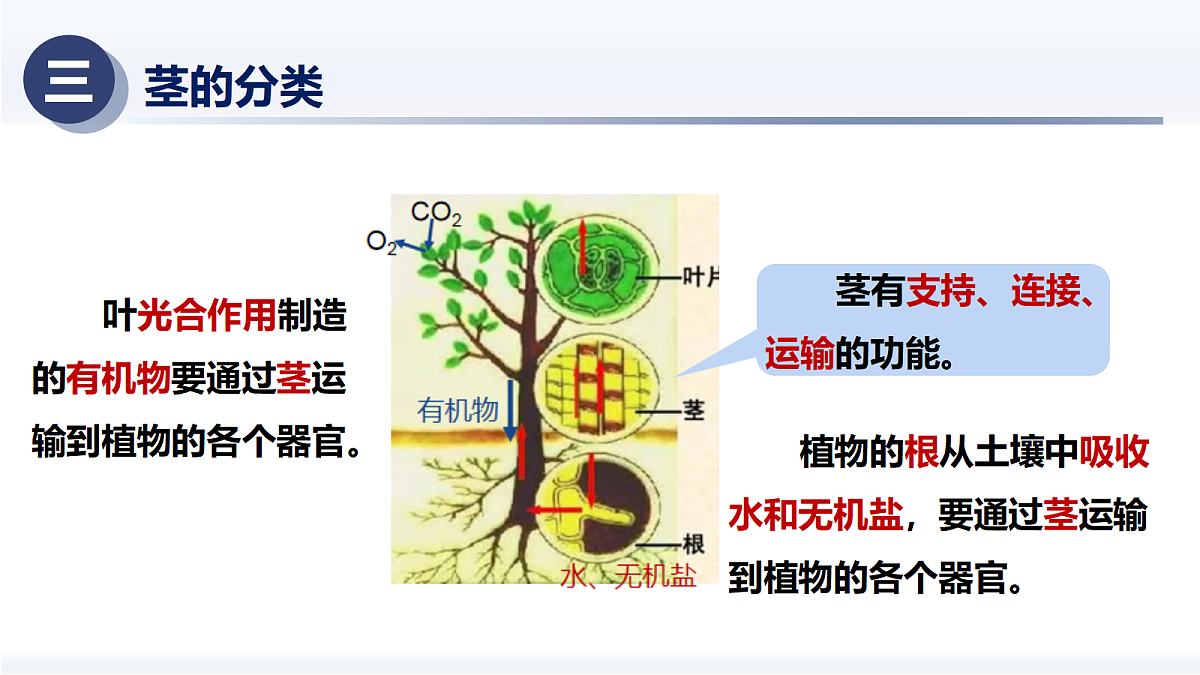 18375323第6页
