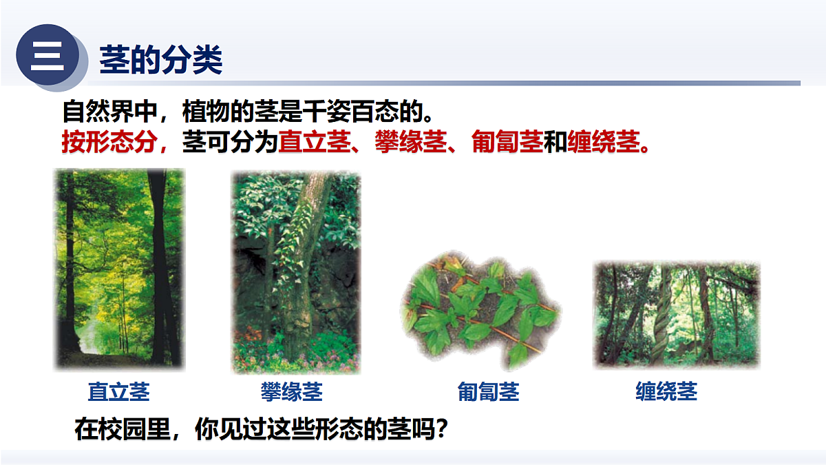 18375323第7页