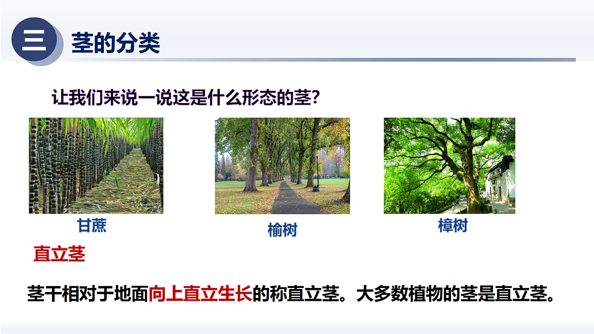 18375323第8页