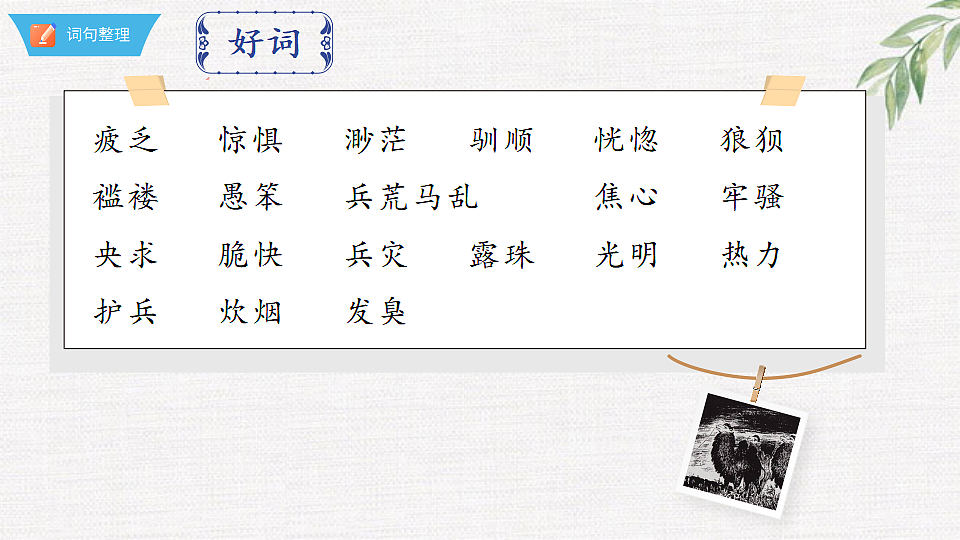 18376007第7页