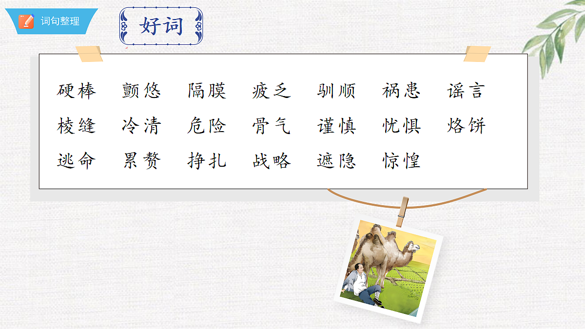 18376008第7页
