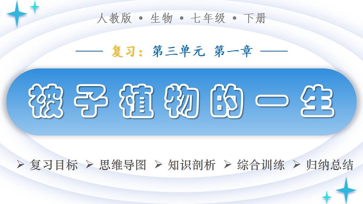 18376055第1页