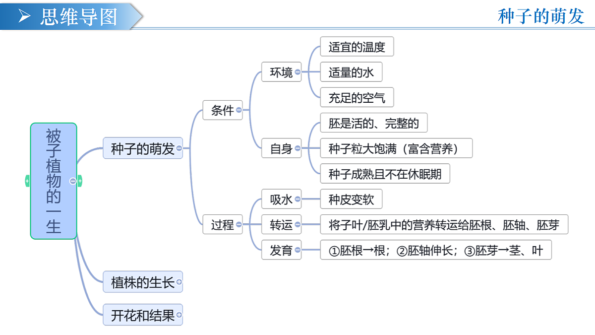 18376055第3页