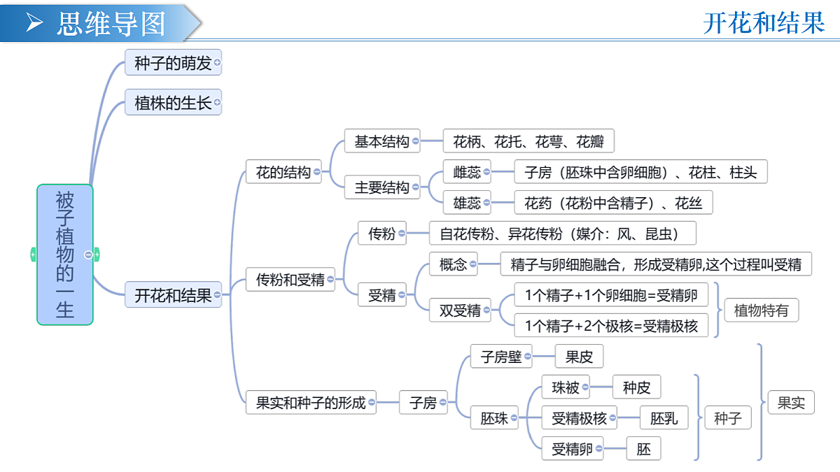 18376055第5页