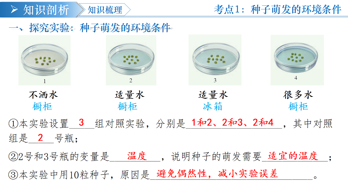 18376055第6页