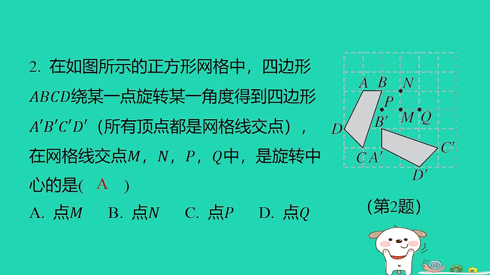 18377750第3页