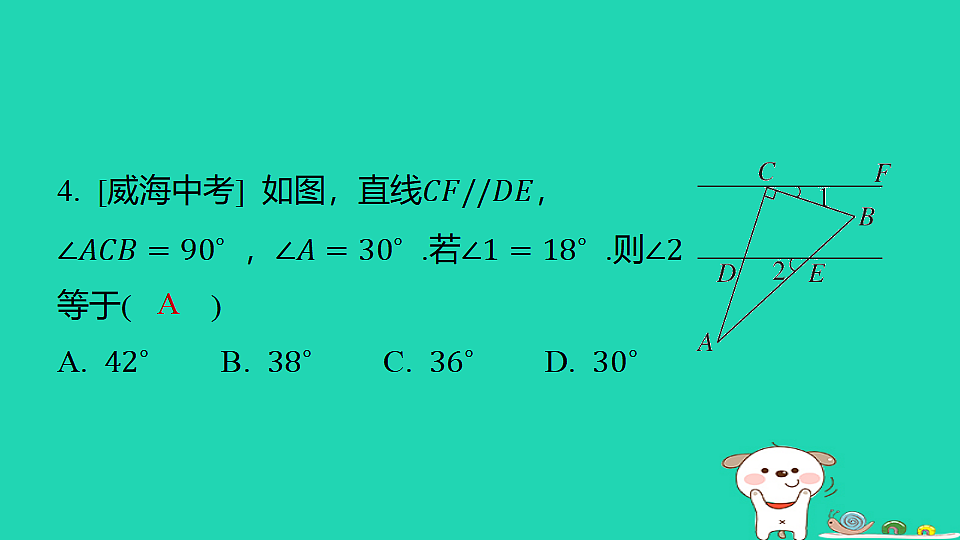 18377759第5页