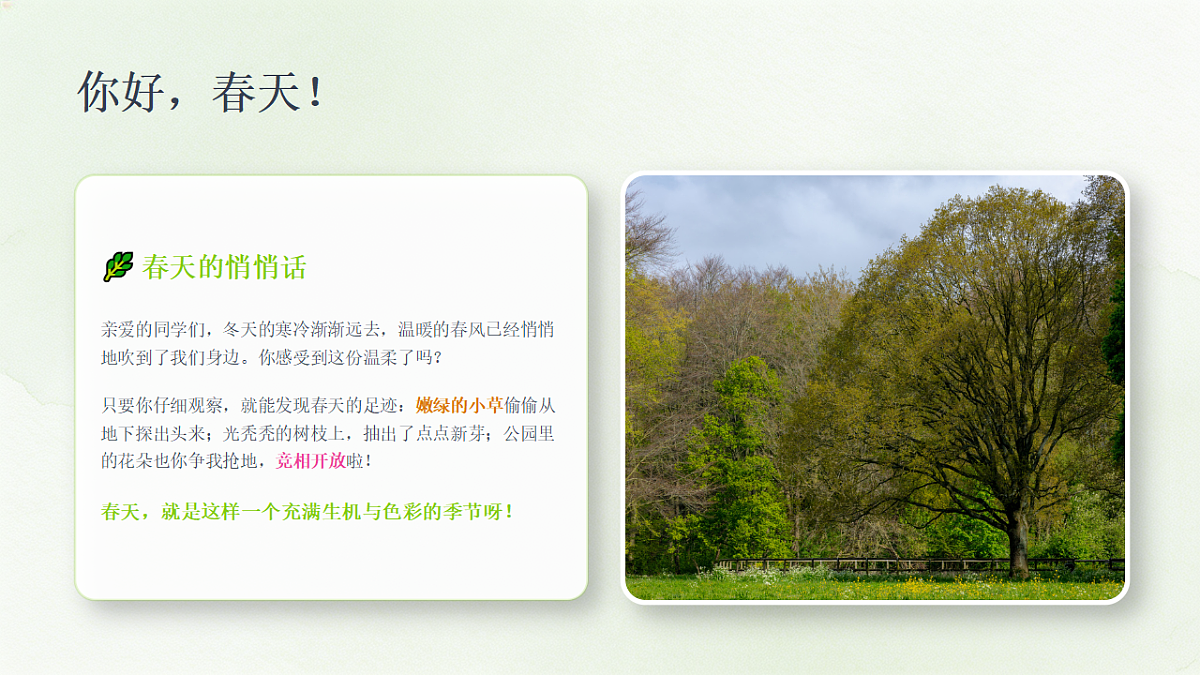 18377895第2页