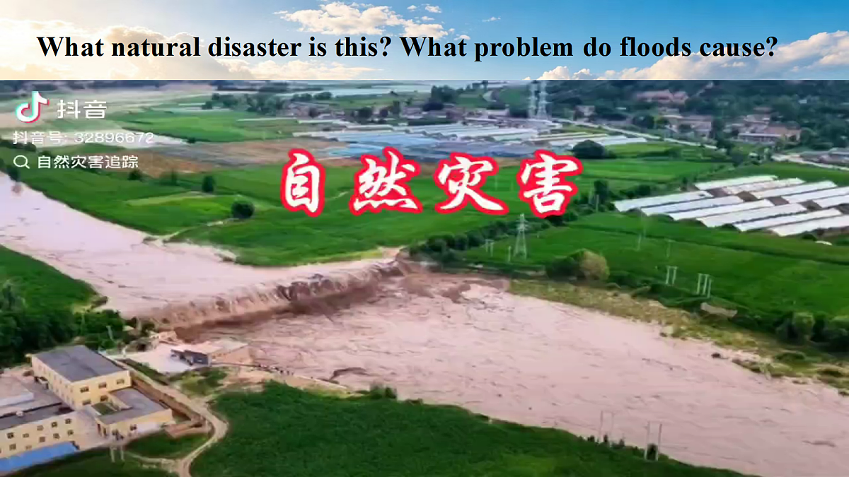 18378909第5页