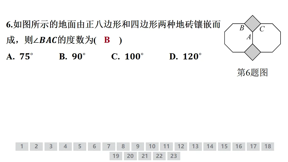 18381647第8页