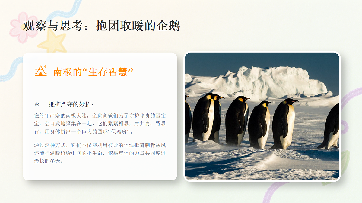 18384336第5页
