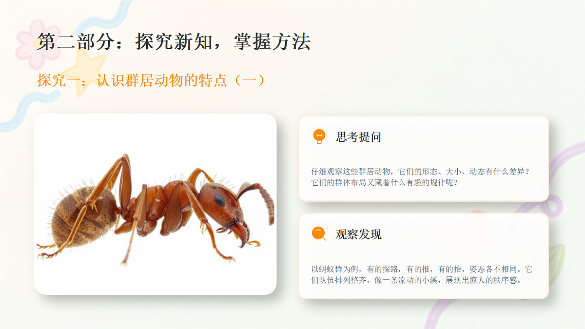 18384336第8页